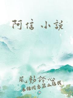 阿信 小说