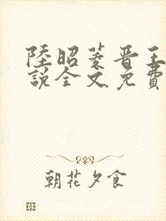 陆昭菱晋王的小说全文免费阅读最新章节