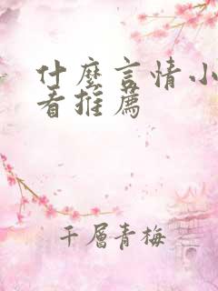 什么言情小说好看推荐