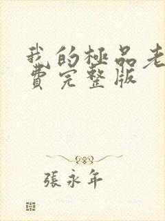 我的极品老婆免费完整版