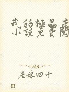 我的极品老婆 小说免费阅读