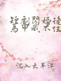 短剧闪婚后老公马甲藏不住3