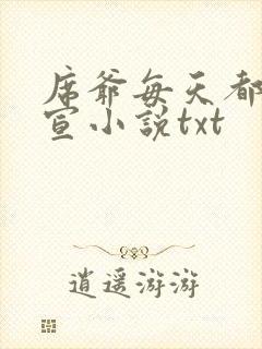 席爷每天都想官宣小说txt