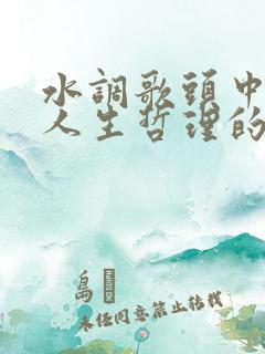 水调歌头中富含人生哲理的句子是