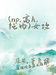 (np,高h,纯肉)女攻