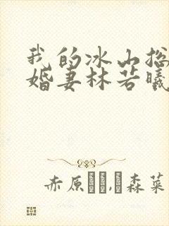 我的冰山总裁未婚妻林若曦