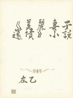 《美丽妻子替夫还债》小说免费阅读