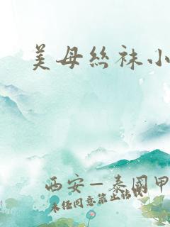 美母丝袜小说