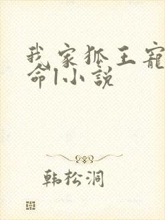 我家狐王宠妻如命l小说