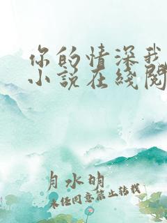你的情深我不配小说在线阅读