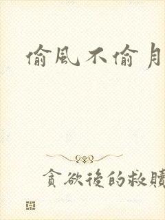 偷风不偷月剧透