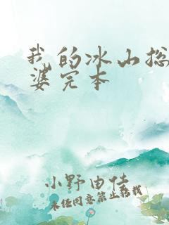 我的冰山总裁老婆完本