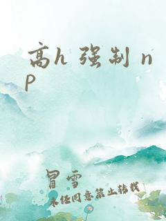 高h 强制 np