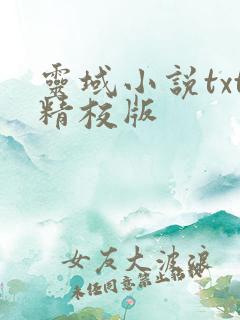 灵域小说txt精校版