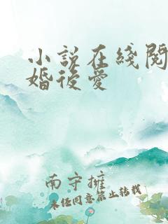小说在线阅读先婚后爱