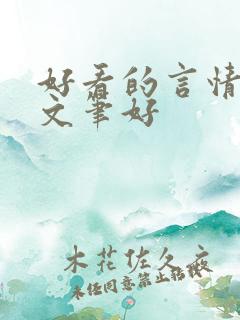 好看的言情小说文笔好