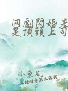 网剧闪婚老公竟是顶头上司