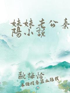 妹妹老公秦蓉赵阳小说