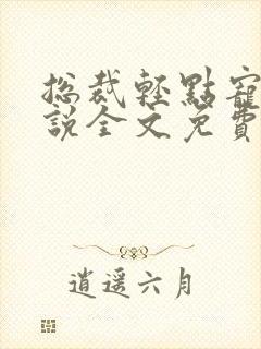 总裁轻点宠一小说全文免费阅读