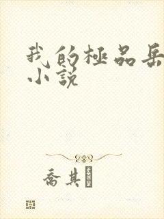 我的极品岳母 小说