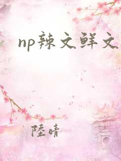 np辣文鲜文