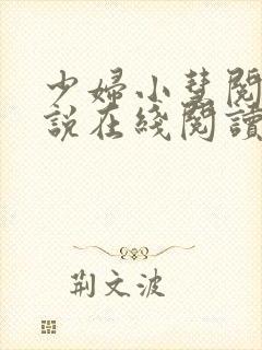 少妇小慧阅读小说在线阅读