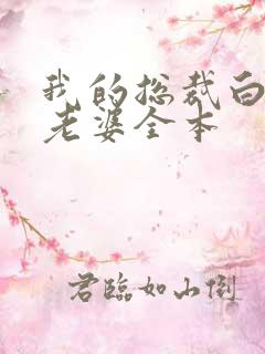 我的总裁白富美老婆全本
