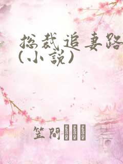总裁追妻路漫漫(小说)