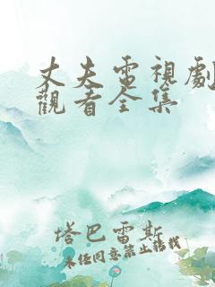 丈夫电视剧免费观看全集