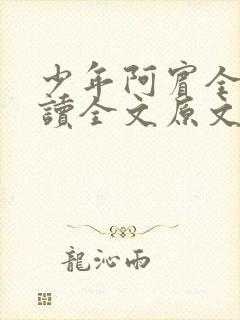 少年阿宾全文阅读全文原文
