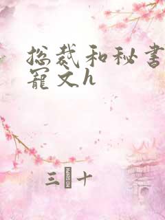总裁和秘书的肉宠文h