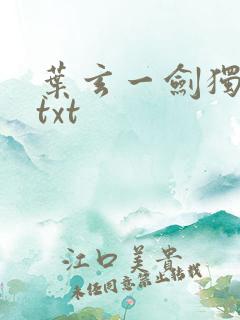 叶玄一剑独尊 txt