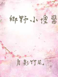 乡野小傻医