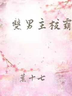 双男主校霸小说