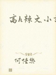 高h辣文小说网
