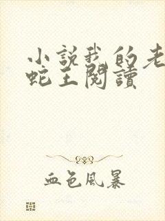 小说我的老公是蛇王阅读