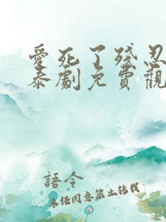 爱死了残忍的你泰剧免费观看全集