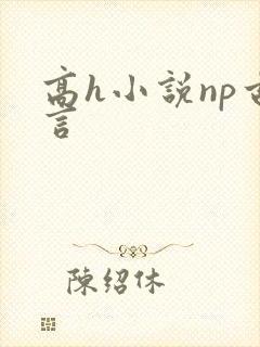 高h小说np古言