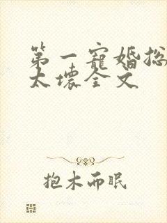 第一宠婚总裁别太坏全文