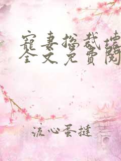 宠妻总裁坏透了全文免费阅读无弹窗