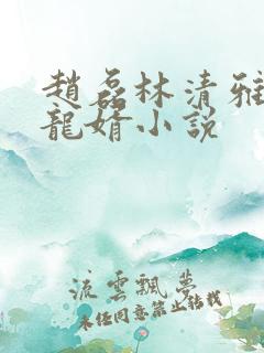 赵磊林清雅上门龙婿小说