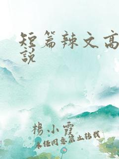 短篇辣文高h小说