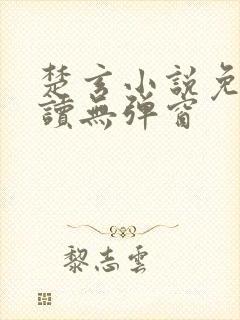 楚玄小说免费阅读无弹窗