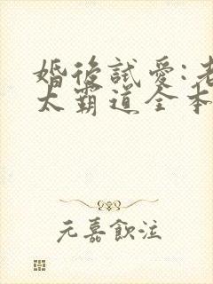 婚后试爱:老公太霸道全本txt下载