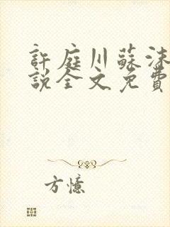 许庭川苏沫沫小说全文免费阅读