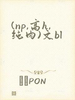 (np,高h,纯肉)文bl