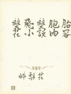 双飞双胞胎姐妹花小说内容介绍