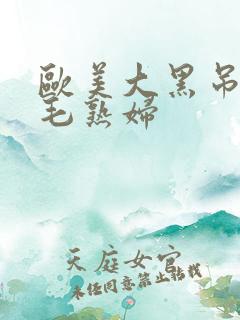 欧美大黑吊操无毛熟妇