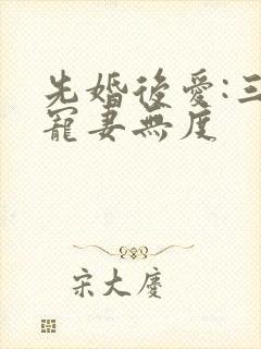 先婚后爱:三少宠妻无度