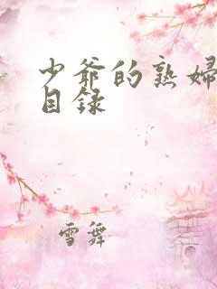 少爷的熟妇后宫目录